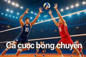Cá cược bóng chuyền NK888 - Trải Nghiệm Thể Thao Đỉnh Cao